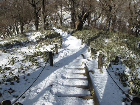 20170118hike (289)